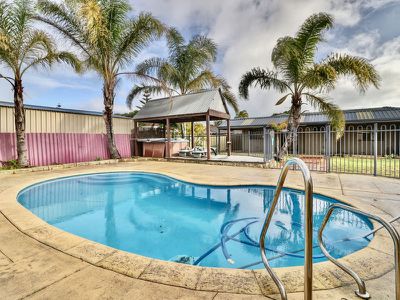 36 Clovelly Way , Warnbro