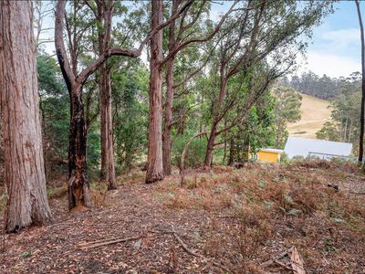 106 Coal Mine Road, Gardners Bay