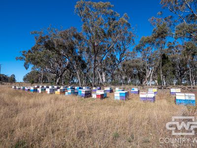 Lot 8, - Emmaville Road, Emmaville