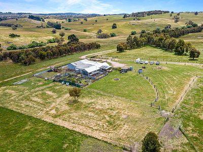 800 Mcintosh Road, Nulla Vale