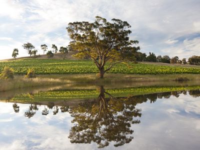 Lot 1, 77 Shurans Lane, Heathcote