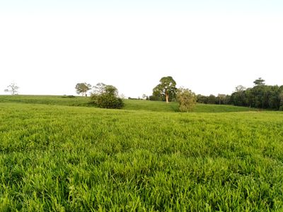 2583  Isabella McIvor Road , Cooktown