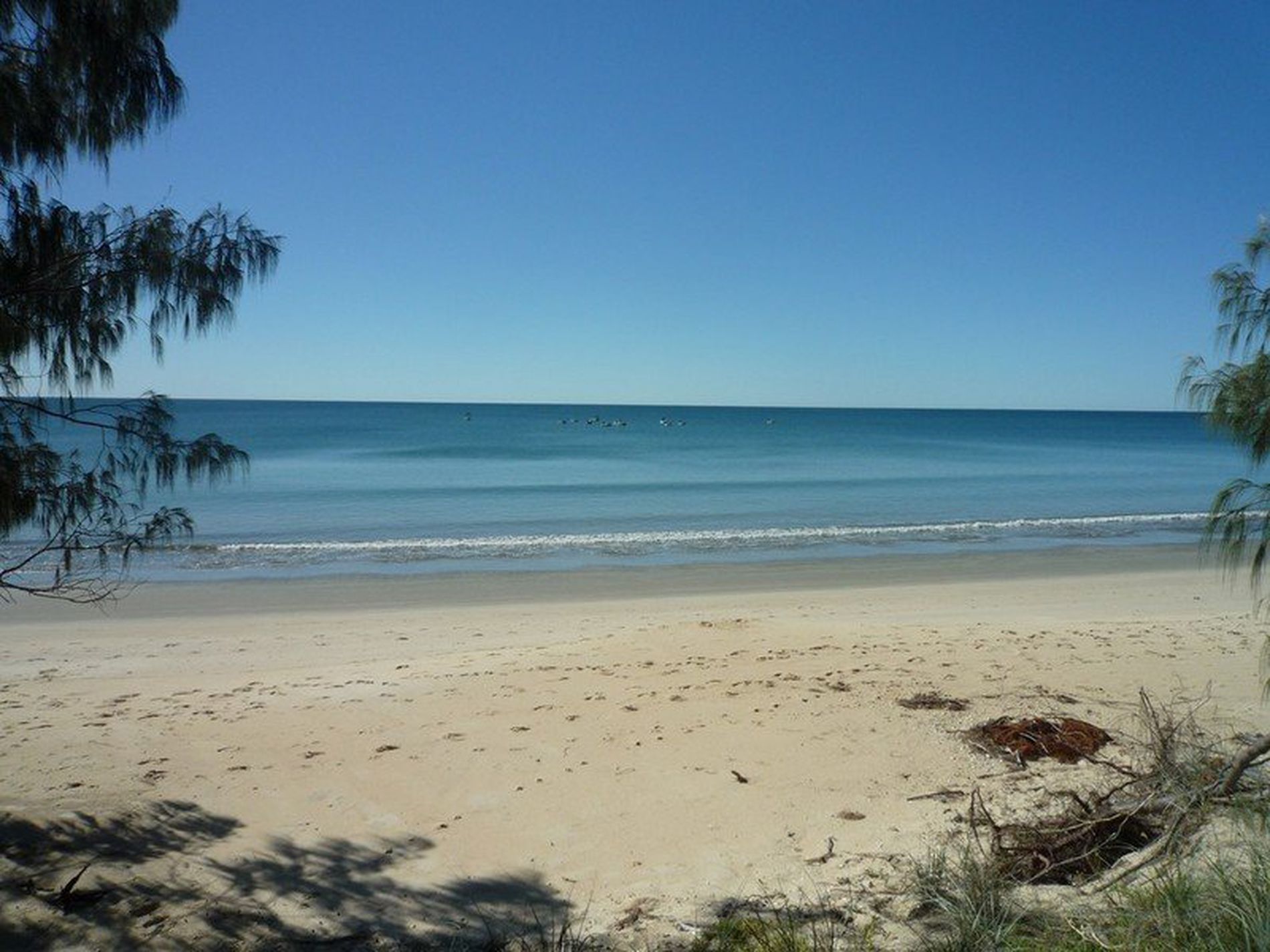 2 Sundew Court, Woodgate