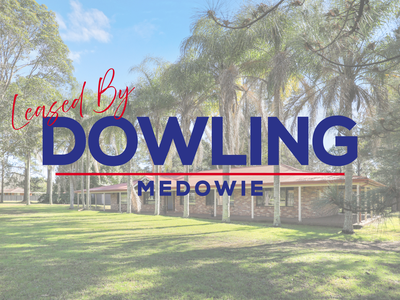 29 Ferodale Road, Medowie