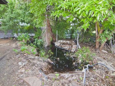 22 Ironwood Drive, Kununurra