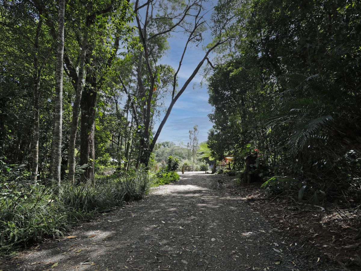 75 Winfield Road, Lake Eacham