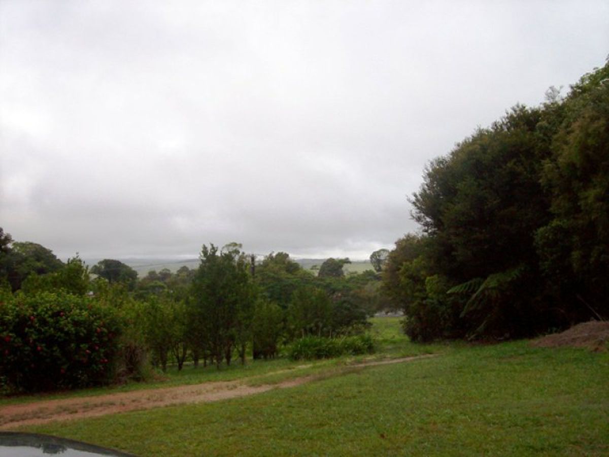 Tarzali