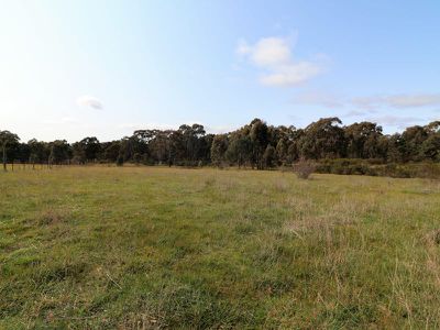 165 Dawe Rd, Tallarook