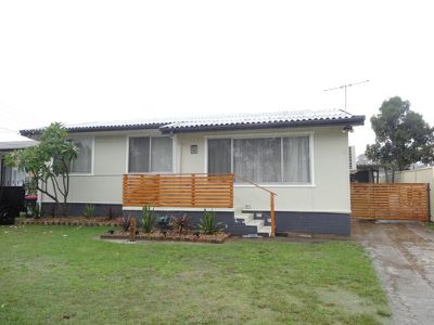 18 Frazer Avenue, Lurnea