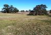 64 Gorman Road, Orange