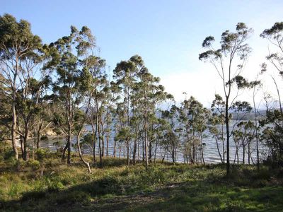 6757 Channel Highway, Deep Bay