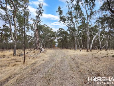 Lot 8, 8 Donald Swamp Road, Mockinya