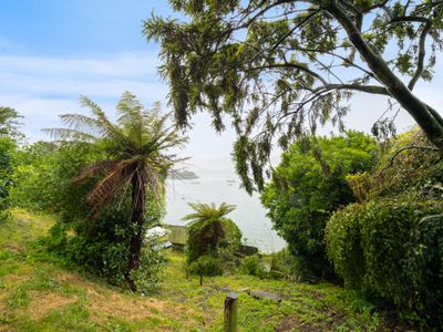 19 Magnetic Street, Port Chalmers