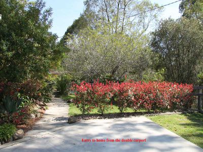 18 Kiwarrak Drive, Rainbow Flat