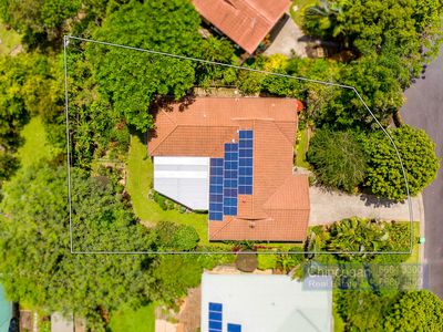 17 Golden Penda Place, Mullumbimby
