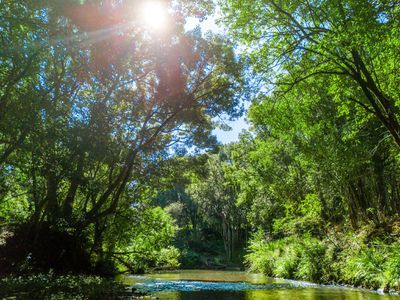 154  Tuntable Creek Road, The Channon