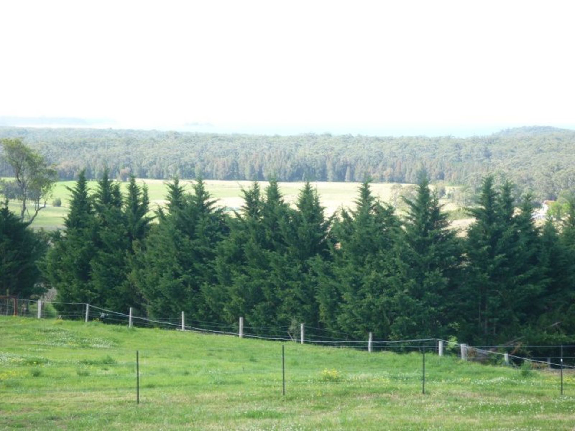 25 Eyrie Bowrie Drive, Milton