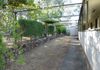 2019 Burrendong Way, Mullion Creek