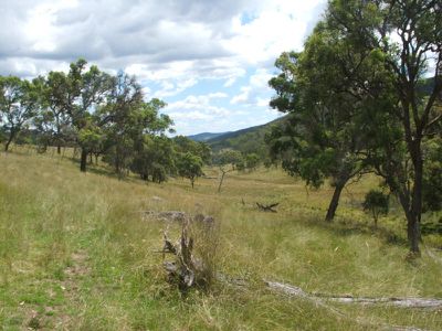 Torrington Road, Emmaville