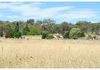 24 Farnham Road, Stuart Town