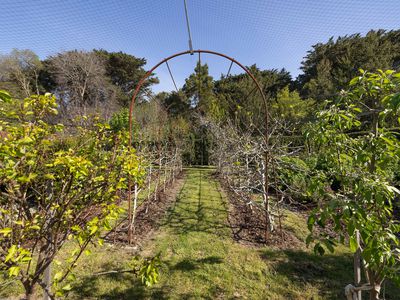 38 Syndicate Road, Mount Macedon