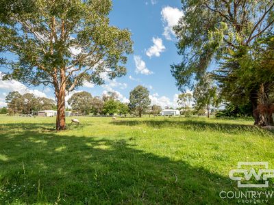 31 McInnes Street, Glencoe