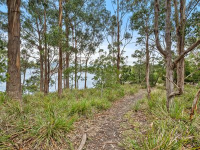 84 Williams Road, Randalls Bay