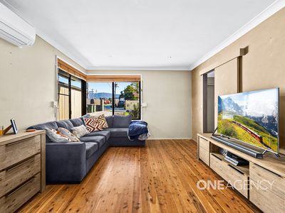 17 Sunlea Street, Dapto