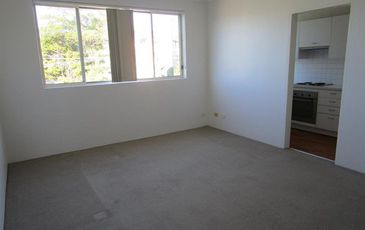3 / 48 Carrington Rd, Randwick