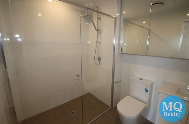 509 / 11 RAPHAEL STREET, Lidcombe