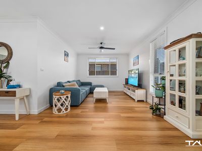 15 Alpine Circuit, St Clair