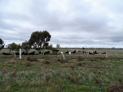 1784 Kerang-Murrabit Road, Capels Crossing, Kerang