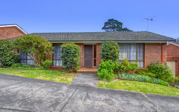 3 / 31 Wilson St, Berwick