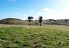 * Burrendong Way, Euchareena