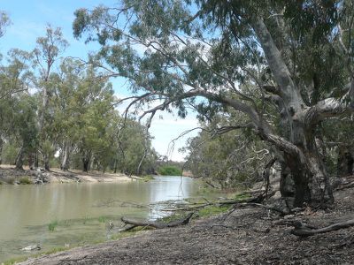 Lot 15 Edward River Road, Moulamein