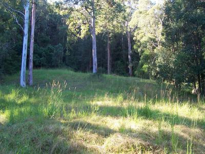 Ourimbah