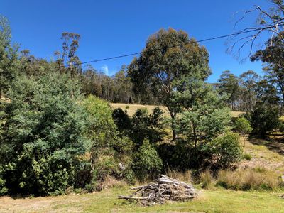 Lot 1, Turn Creek Road, Grove