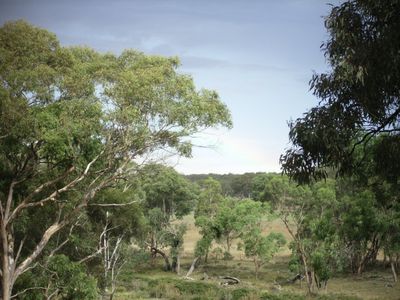454 Cainbil Road, Coolah