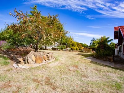 1 Pine Tree Avenue, Grindelwald