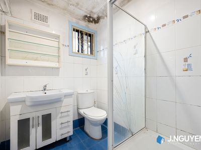 16 Mckibbin Street, Canley Heights