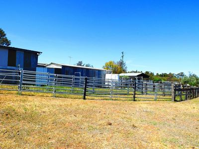447 Dilladerry Road, Tomingley