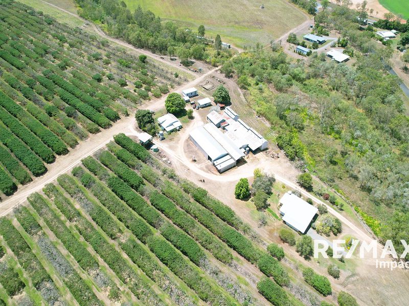 44 Carman Road, Paddys Green