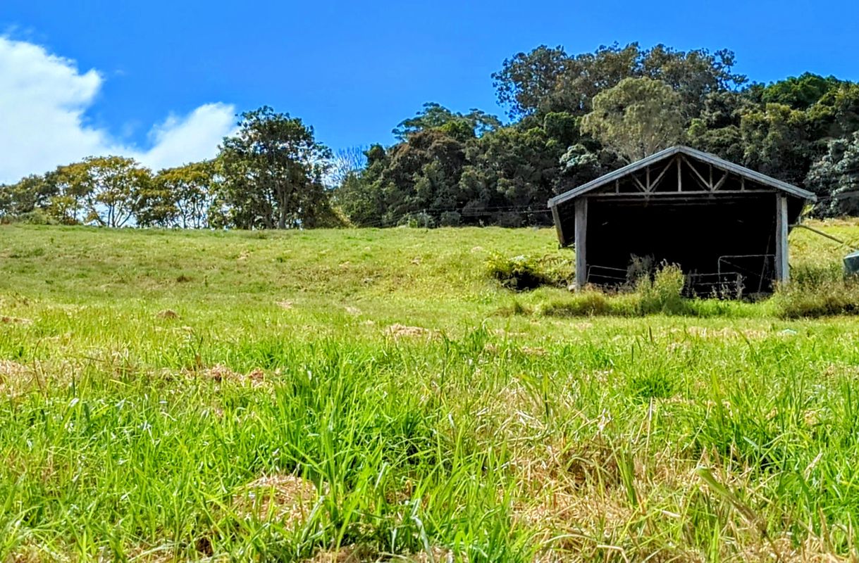 2434 Macdonnell Road, Tamborine Mountain Oxbridge Global Real Estate