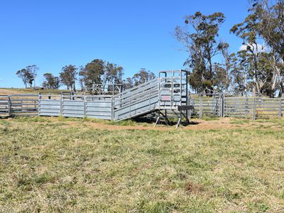 489 Inn Road, Ben Lomond