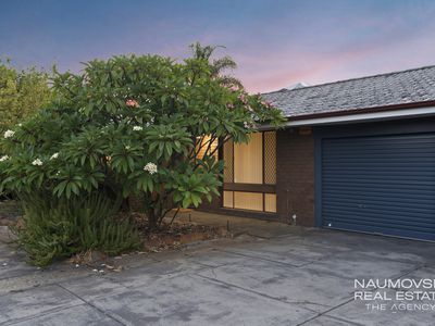 17B Eighth Avenue, Maylands