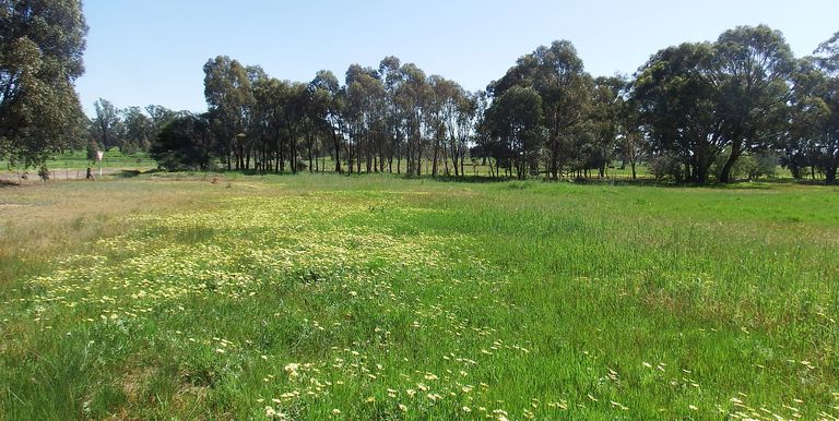 Lot 11B, Dunnings Road Balmattum, Euroa