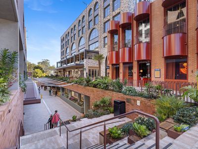 C105 / 14 Baptist Street, Redfern
