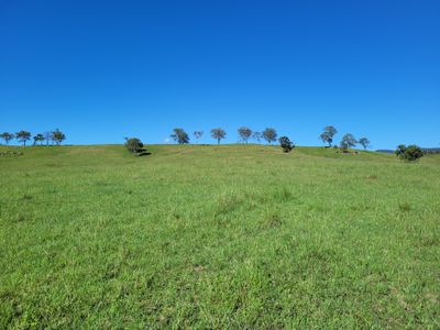 552 Neringla Road, Neringla