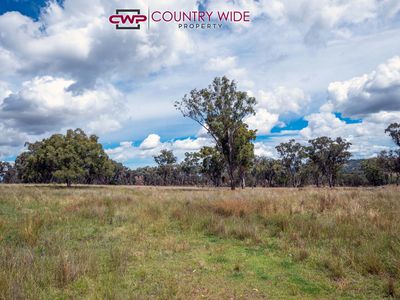 170 Northcotts Road, Glen Innes