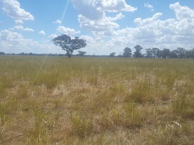 6897 Riverina Highway, Hopefield